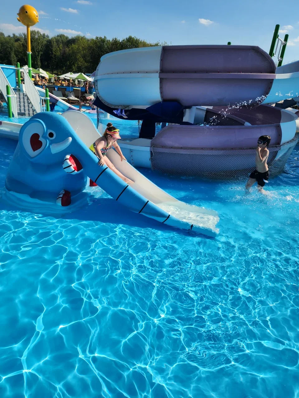 Фото Dream Beach Club - развлечение в Москве | Досугатор